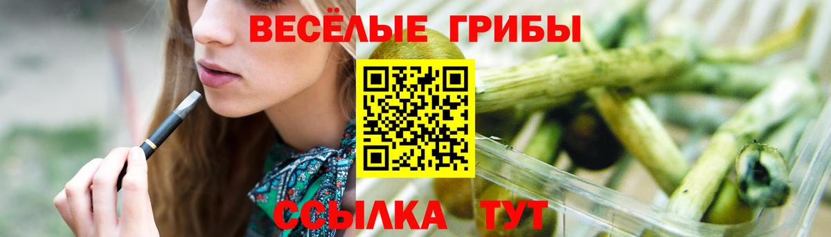 Галлюциногенные грибы Cubensis Среднеуральск